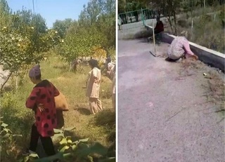 Наманганда ўқитувчиларни ўт юлишга мажбурлагани айтилган мактаб директори жаримага тортилди