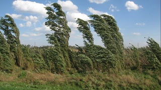 Октябрь ойи ҳароратнинг пасайиши билан бошланади