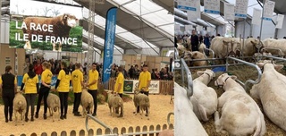 Узбекистан принял участие в престижной международной выставке по сельскому хозяйству во Франции