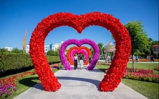 В Ташкенте пройдет фестиваль цветов «Tashkent Flower fest-2022»