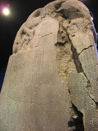 Тупроқ — ўзлик илдизи