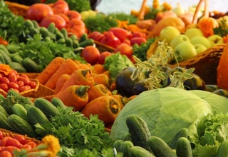 Toshkent viloyatida bu mavsum o'tgan yilgidan 3,7 ming gektar ziyodroq maydonda hosil yetishtirildi