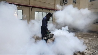 Шри-Ланкада денге иситмаси авж олмоқда