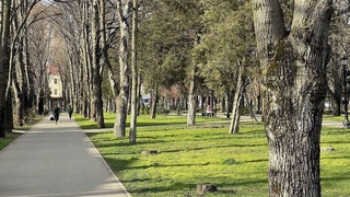 Пешгӯии обу ҳаво барои 6 феврал