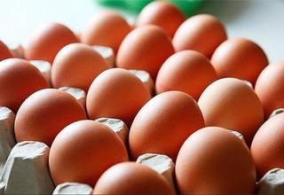 CNN: AQShda noma'lum shaxslar 100 mingta tovuq tuxumini o'g'irlab ketdi