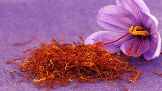 Доривор шафран ўсимлиги ишончли даромад манбаи ҳамдир