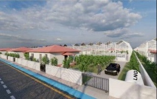 Issiqxonali uylar kimlarga beriladi?