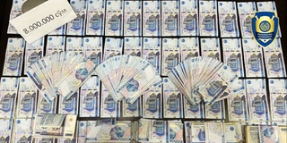 Ток ўғрисига "кўмаклашмоқчи" бўлган ЭТК юрисконсульти ушланди