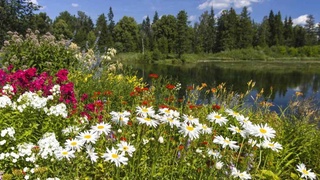 Weather forecast for August 3