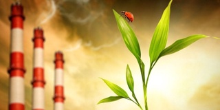 Hududlardagi ekologik vaziyat yaxshilanmoqda