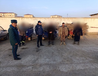 Бухорода саксовул ўсимлигини олиб кетаётган шахслар қўлга тушди