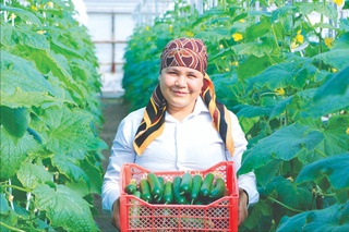 Озиқ-овқат хавфсизлиги Барқарор ривожланишда давлат сиёсатининг устувор йўналишлари