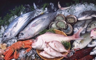 Статистика: 3 ойда 2,2 минг тонна балиқ ва денгиз маҳсулотлари импорт қилинган