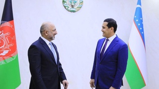 Узбекистан и Афганистан подписали соглашение о поставках электроэнергии на 10 лет