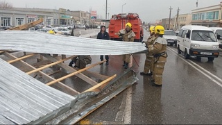 Qashqadaryo viloyatida kuchli shamol oqibatlari bartaraf etilmoqda — FVV