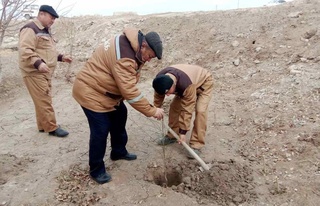 Егилген нәллердиң тәрбиясына итибар қаратылмақта