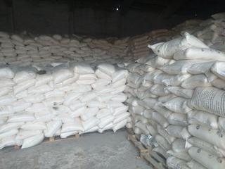 Самарқандда 67 минг 441 гектар ерда ғалла униб чиқди