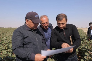 В Навоийской области возвращаются в оборот пустынные территории