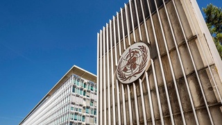 ВОЗ о новой мутации коронавируса и летальности