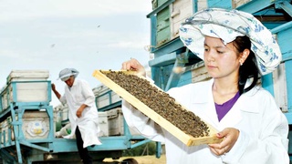 Занятость молодежи - достойный вклад в экономику