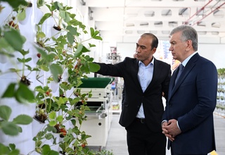 Население обучают получать доход до 250 миллионов сумов с 10 соток