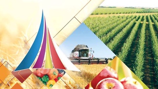 Реализация госпрограммы: открыто и прозрачно