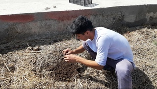 Buxorolik yosh tadbirkor chuvalchangdan “million” topmoqda