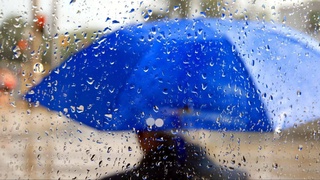 Дожди и похолодание ожидают узбекистанцев на выходных