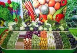 Қишлоқ хўжалиги маҳсулотларини етиштиришда қайси вилоят етакчи?