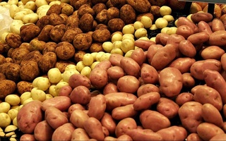 В 2021 году Узбекистан собрал на 2,2% больше картофеля