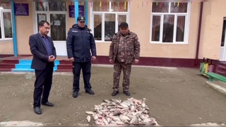 Noqonuniy baliq ovlaganlar jarimaga tortildi