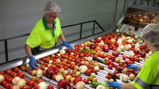 Ўмонлик тадбиркорлар қишлоқ хўжалик маҳсулотларини қайта ишлашда ҳамкорлик қилади