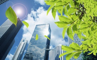 Урбанизация в гармонии с природой