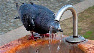 Гидрометеорология хизмати 26 май куни кутиладиган об-ҳаво маълумотини эълон қилди