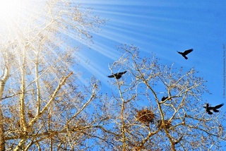 Прогноз погоды на 12 февраля