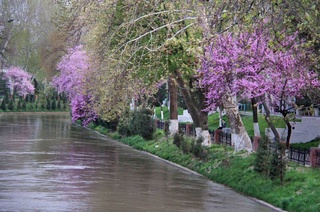 Прогноз погоды на 19 марта