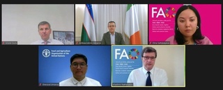 Ўзбекистоннинг ФАО билан ҳамкорлик алоқалари янада кенгаяди