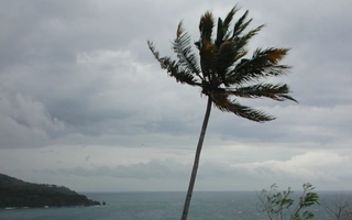 "Данас" тўфони Тайванга ёпирилди: 500 дан ортиқ киши жабрланди