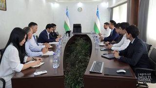 Alibaba Group планирует открыть сервисные центры в пяти областях Узбекистана