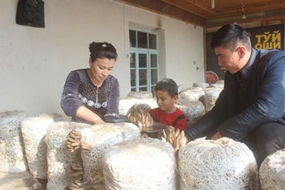 Ҳоким ёрдамчиси: маҳалла одамларининг интилувчанлиги ортган, ҳаётга қараши ўзгарган