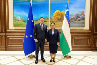 A meeting with the delegation of the European Parliament was held in the Senate