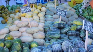 Бухорода анъанавий қовун сайли ўтказилди