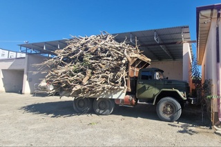 Саксовул савдоси билан шуғулланиб келган шахслар жаримага тортилди