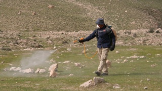 Трансграничное обследование саранчовых