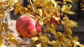 На выходных будет тепло