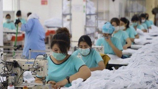 Pandemiyada bandlik muammosi qanday hal etilyapti?