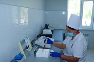 Нөкистеги жойбардың табысы