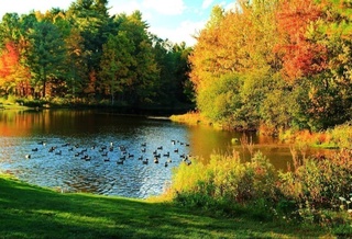 Прогноз погоды на 12 сентября