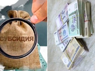 Kooperativ rahbarlari subsidiya mablag'larini talon-toroj qilgan