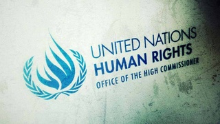 Uzbekistan positively noted in the annual report of the Office of the United Nations High Commissioner for Human Rights